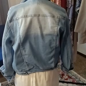 Painted Dolphins on Jacket